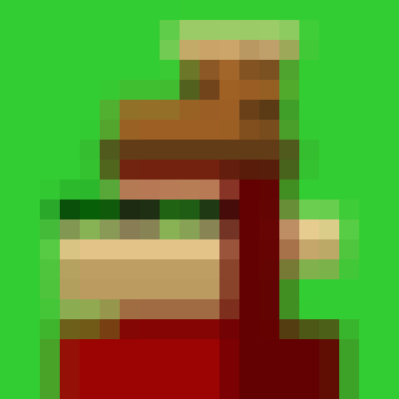 NOOD MONKE 1227 NFT on Algorand