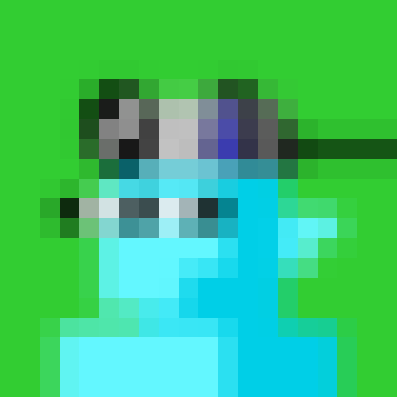 NOOD MONKE 1249 NFT on Algorand