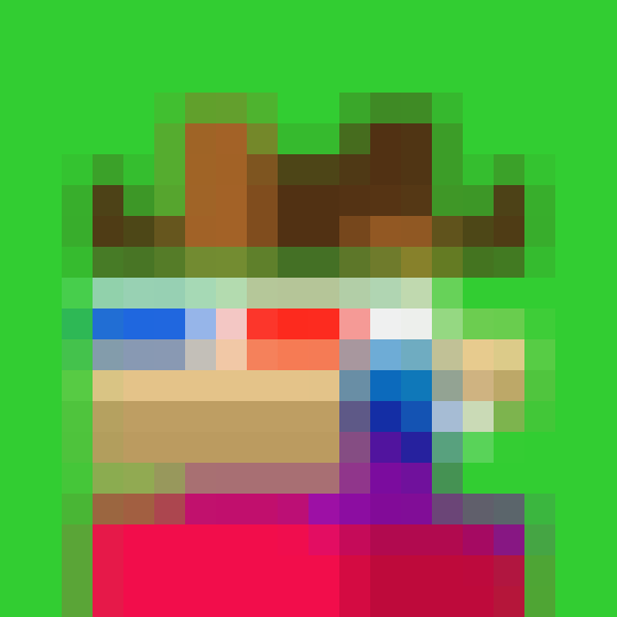 NOOD MONKE 1250 NFT on Algorand