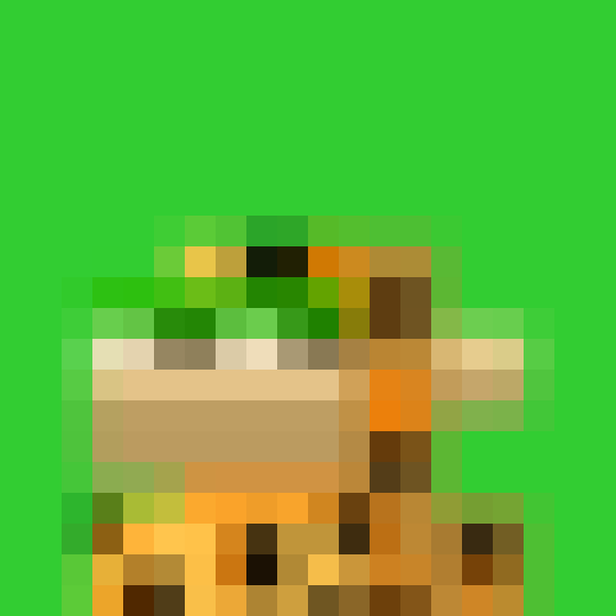 NOOD MONKE 1259 NFT on Algorand