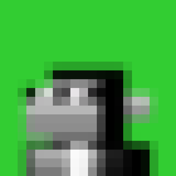 NOOD MONKE 1337 NFT on Algorand