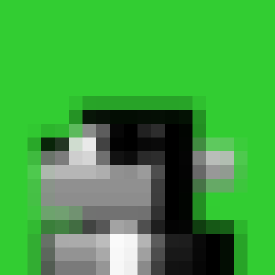 NOOD MONKE 1429 NFT on Algorand