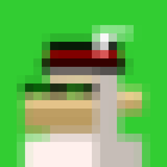 NOOD MONKE 1430 NFT on Algorand