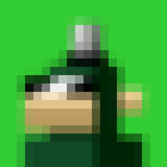 NOOD MONKE 1431 NFT on Algorand