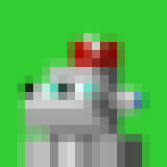 NOOD MONKE 1458 NFT on Algorand