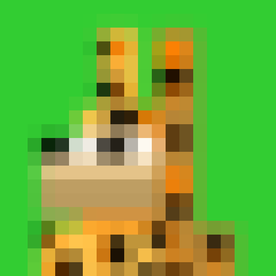 NOOD MONKE 148 NFT on Algorand