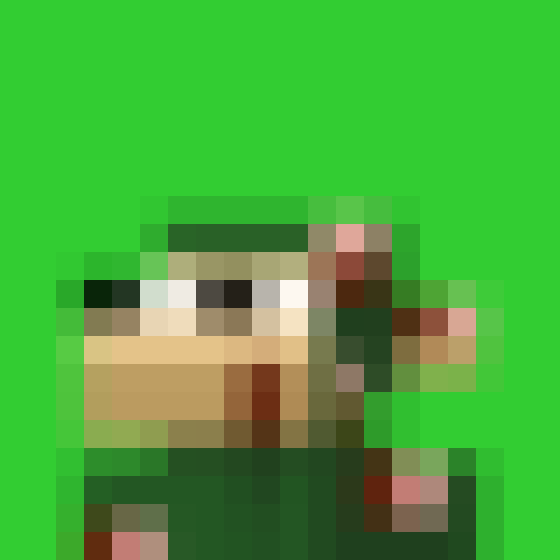 NOOD MONKE 157 NFT on Algorand