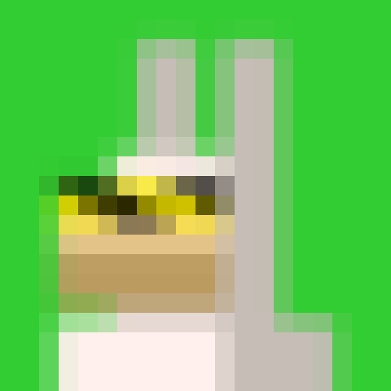 NOOD MONKE 1566 icon