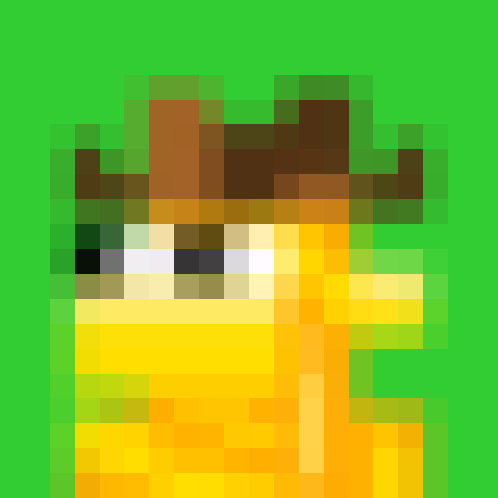 NOOD MONKE 1570 NFT on Algorand