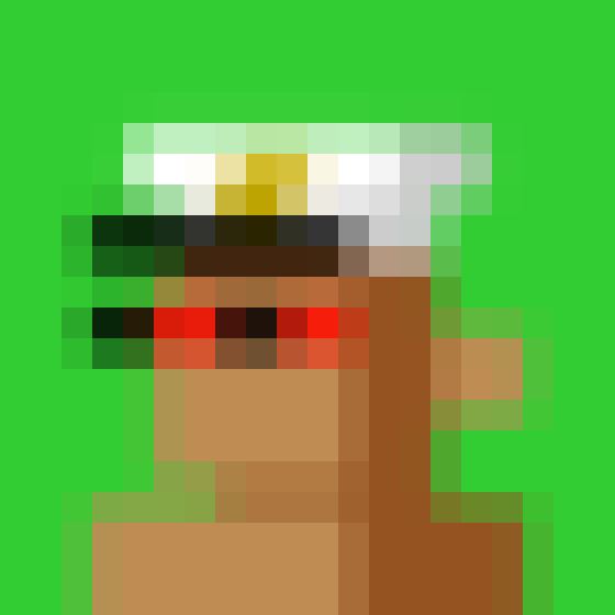 NOOD MONKE 1592 NFT on Algorand