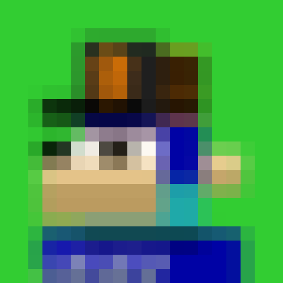 NOOD MONKE 17 NFT on Algorand