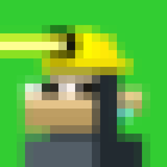 NOOD MONKE 1601 NFT on Algorand