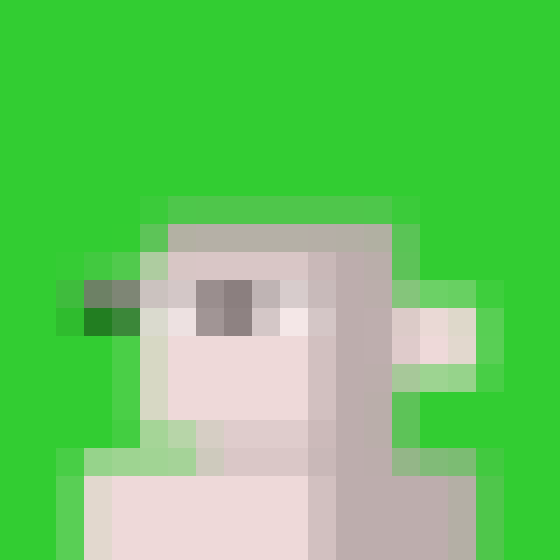 NOOD MONKE 1603 NFT on Algorand