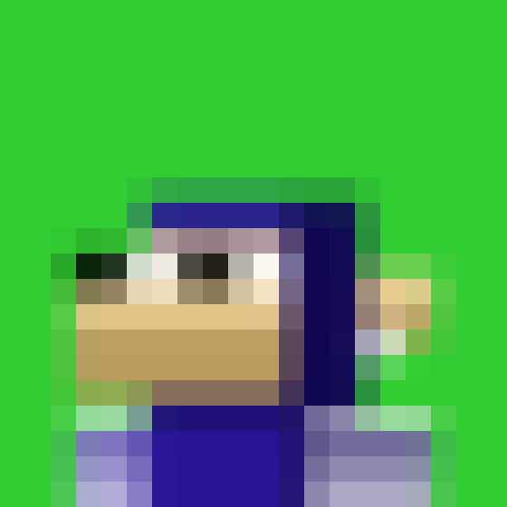 NOOD MONKE 1617 NFT on Algorand