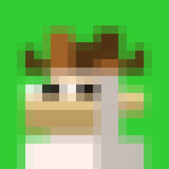 NOOD MONKE 1620 NFT on Algorand