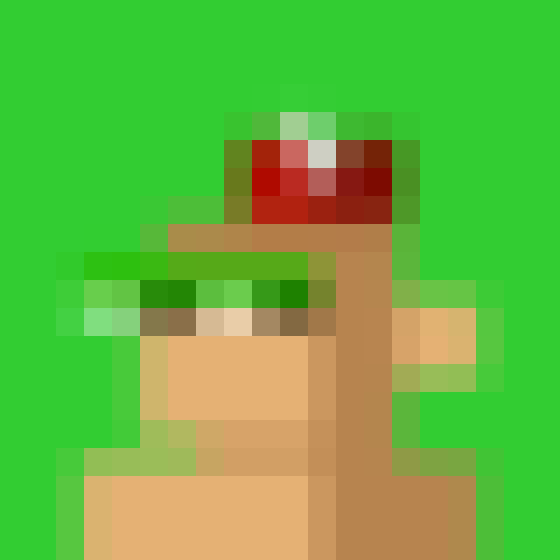 NOOD MONKE 1623 NFT on Algorand