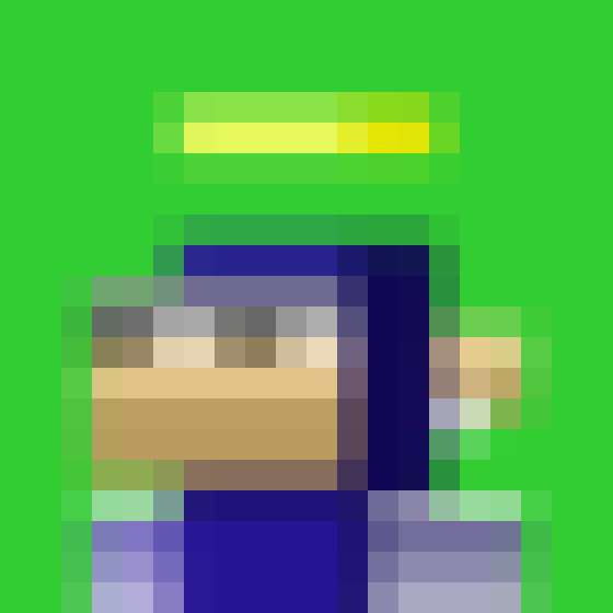 NOOD MONKE 1629 NFT on Algorand