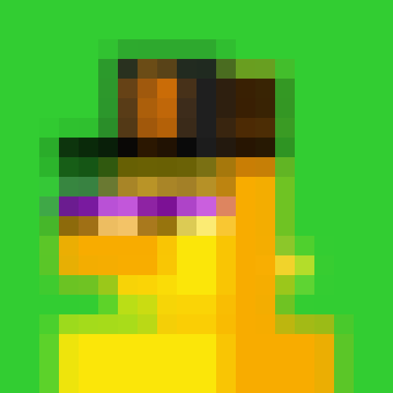 NOOD MONKE 165 NFT on Algorand