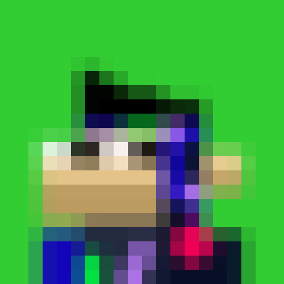 NOOD MONKE 1646 NFT on Algorand