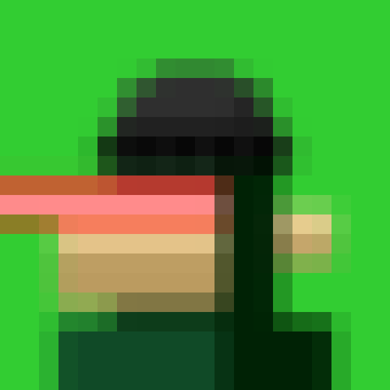 NOOD MONKE 1648 NFT on Algorand