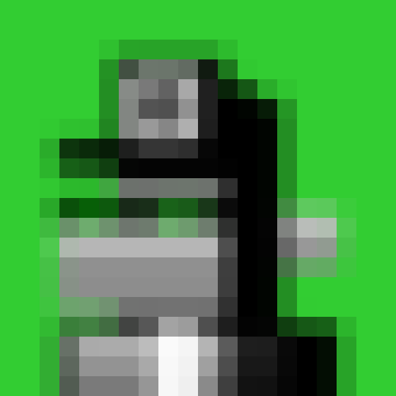 NOOD MONKE 173 NFT on Algorand