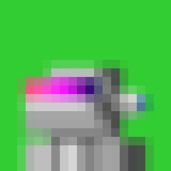 NOOD MONKE 1785 NFT on Algorand