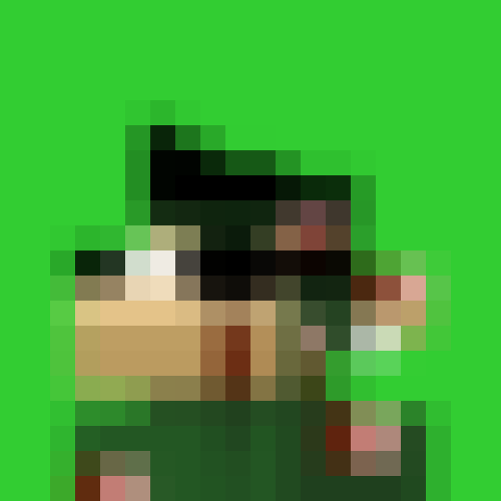 NOOD MONKE 1902 NFT on Algorand