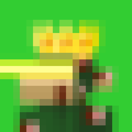 NOOD MONKE 1955 NFT on Algorand