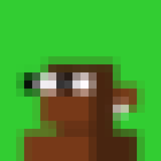 NOOD MONKE 1979 NFT on Algorand