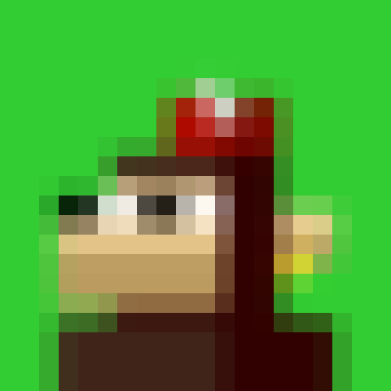 NOOD MONKE 21 NFT on Algorand