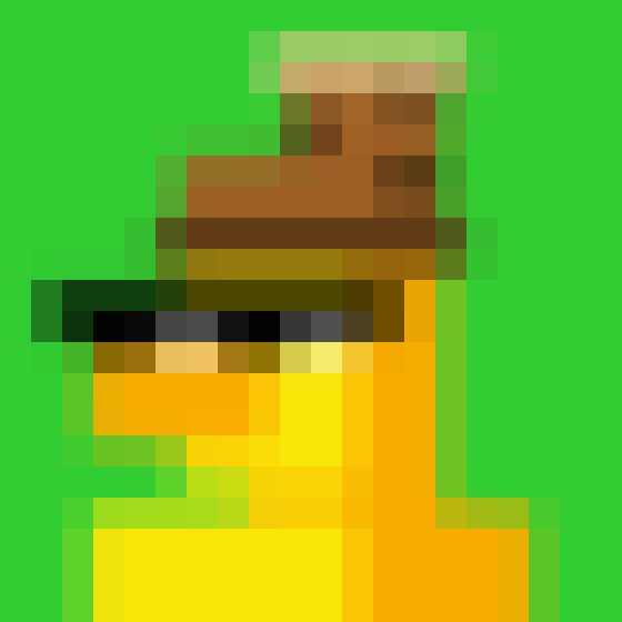 NOOD MONKE 2037 NFT on Algorand