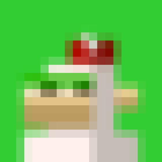 NOOD MONKE 2070 NFT on Algorand