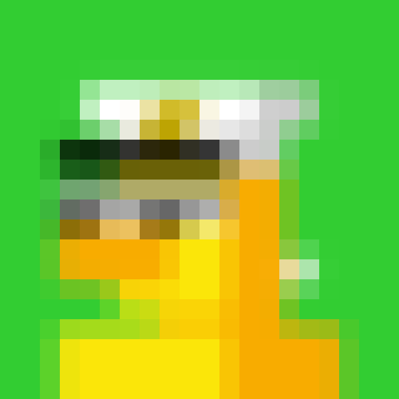 NOOD MONKE 2072 NFT on Algorand