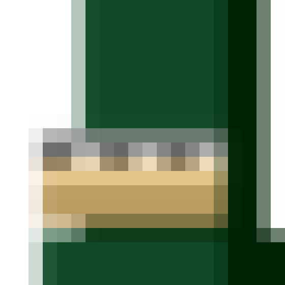 NOOD MONKE 2105 NFT on Algorand