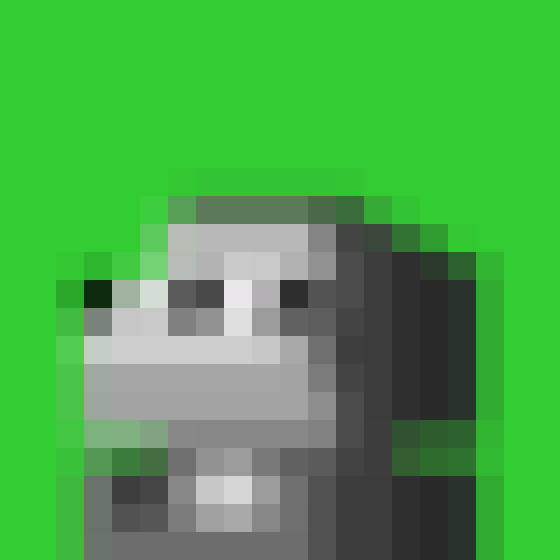 NOOD MONKE 2111 NFT on Algorand