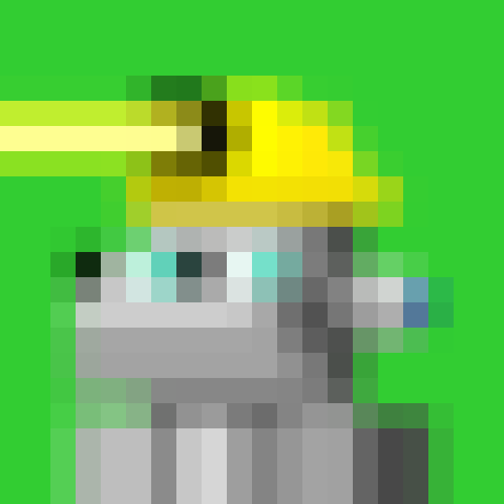 NOOD MONKE 2424 NFT on Algorand