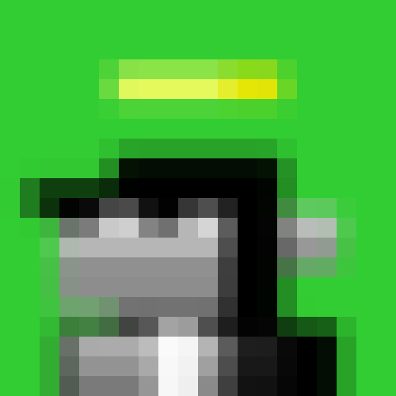 NOOD MONKE 2526 NFT on Algorand