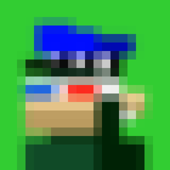 NOOD MONKE 2529 NFT on Algorand