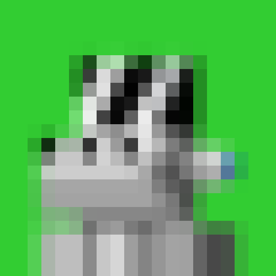 NOOD MONKE 2536 NFT on Algorand