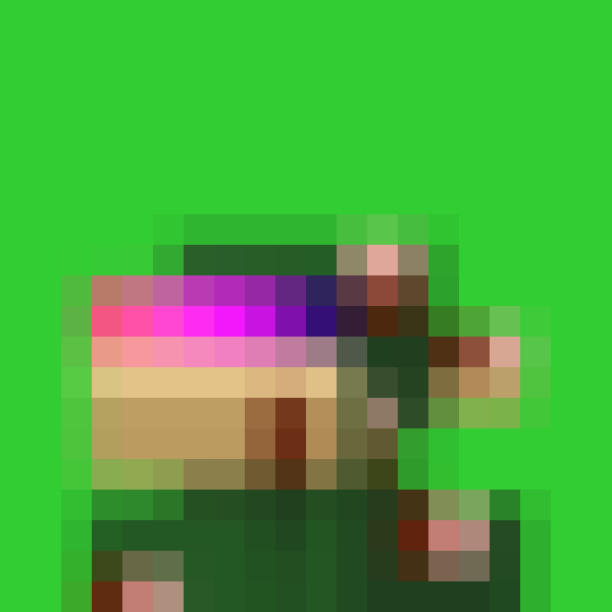 NOOD MONKE 27 NFT on Algorand