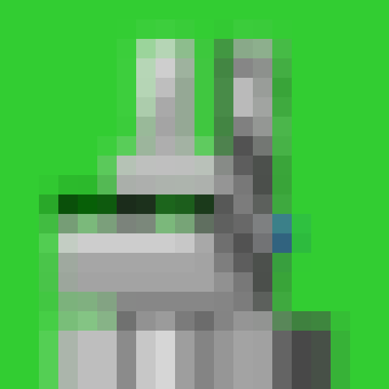 NOOD MONKE 8017 NFT on Algorand