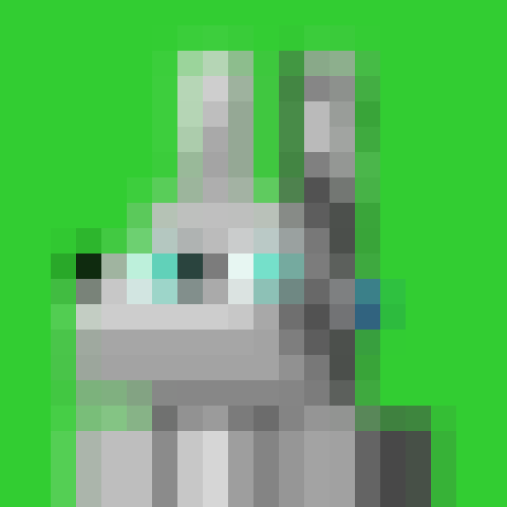 NOOD MONKE 84 NFT on Algorand