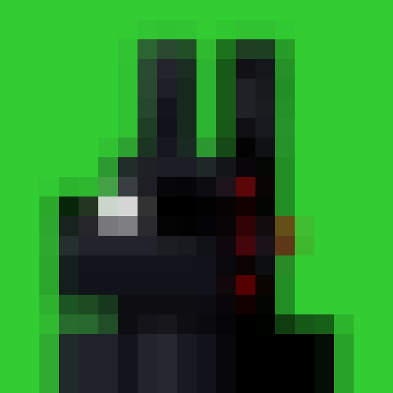 NOOD MONKE 9917 NFT on Algorand