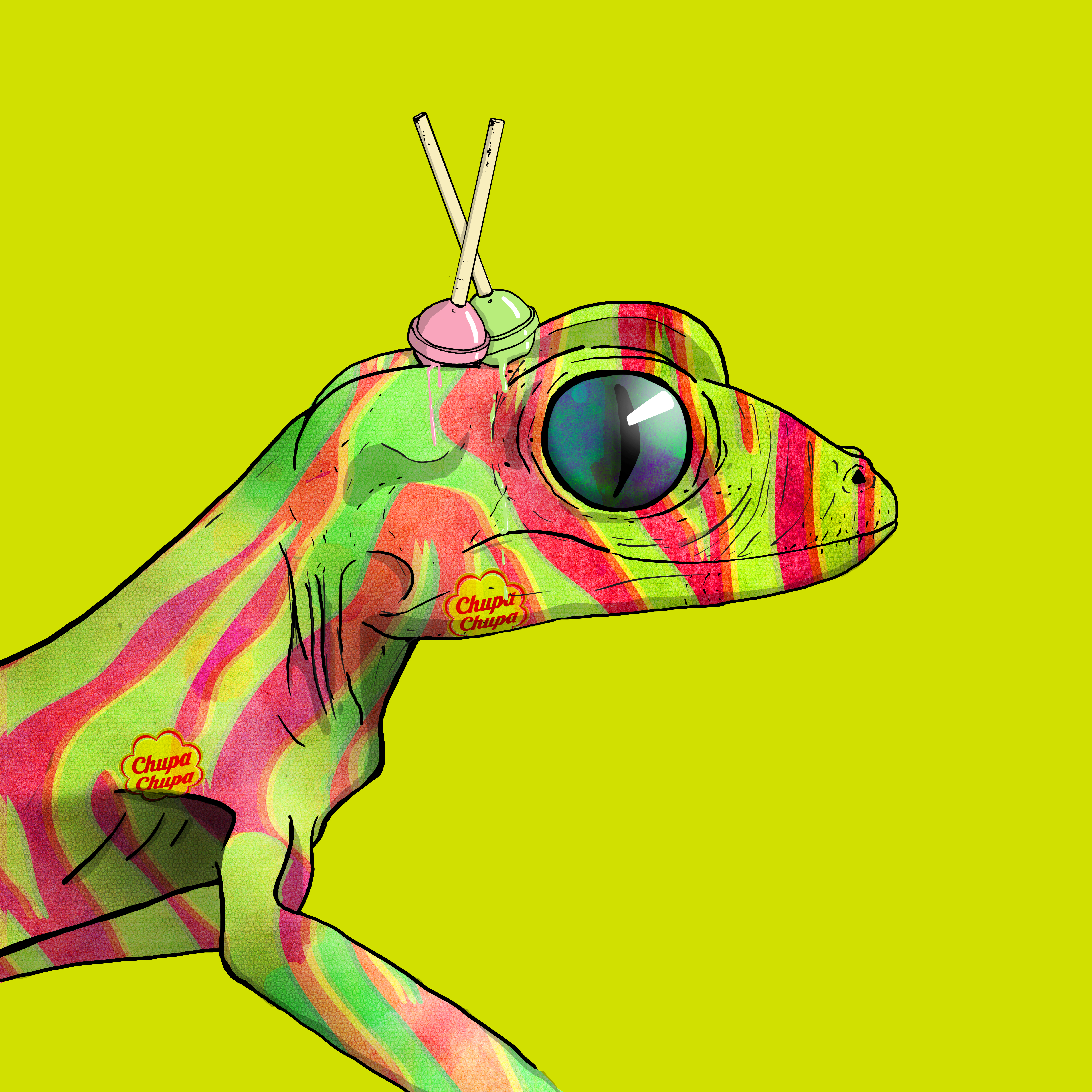 Geko 0249 NFT on Algorand