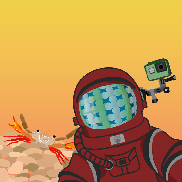 An image of Oceanaut #17