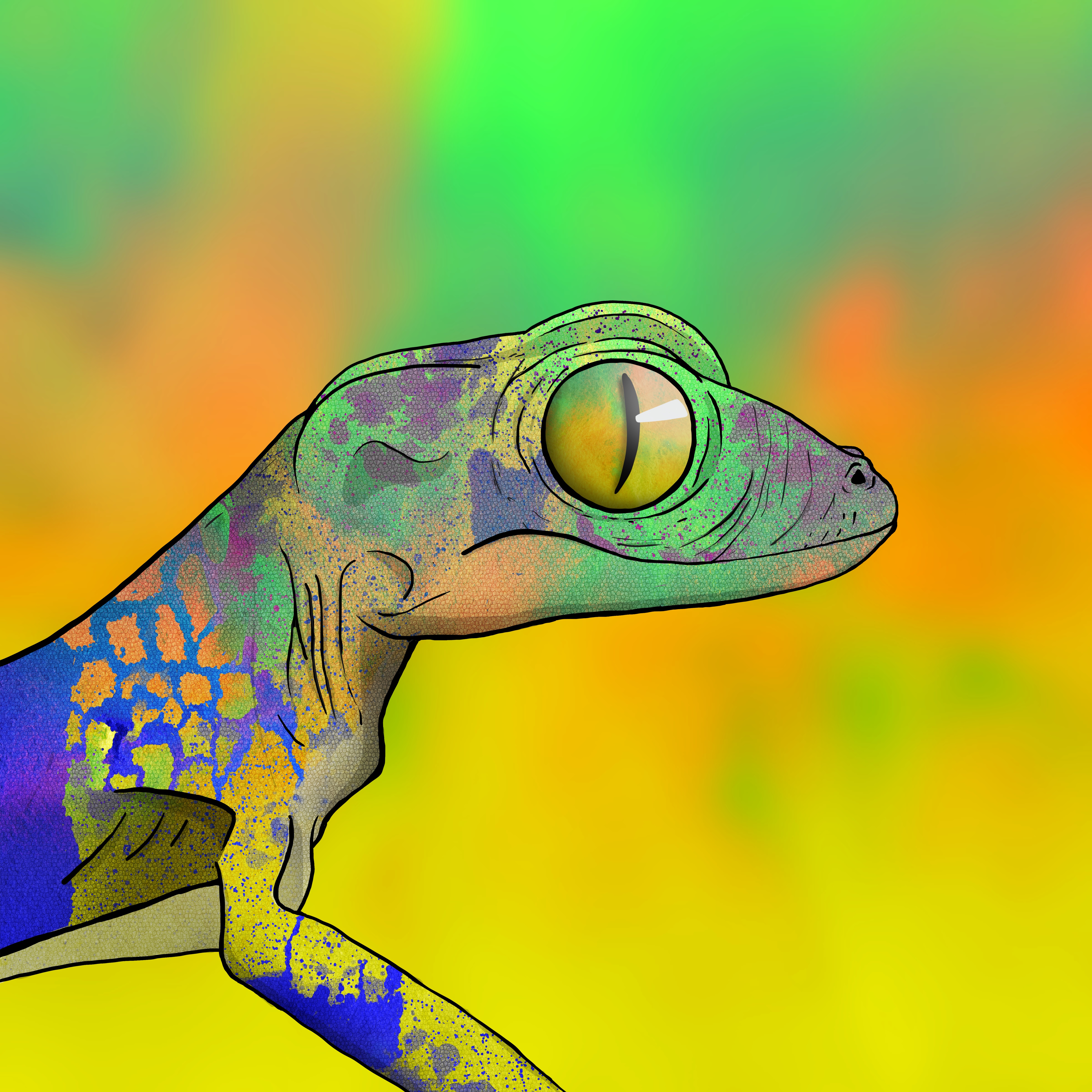Geko 0402 NFT on Algorand