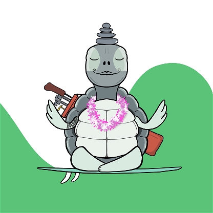 Zen Turtle 0145