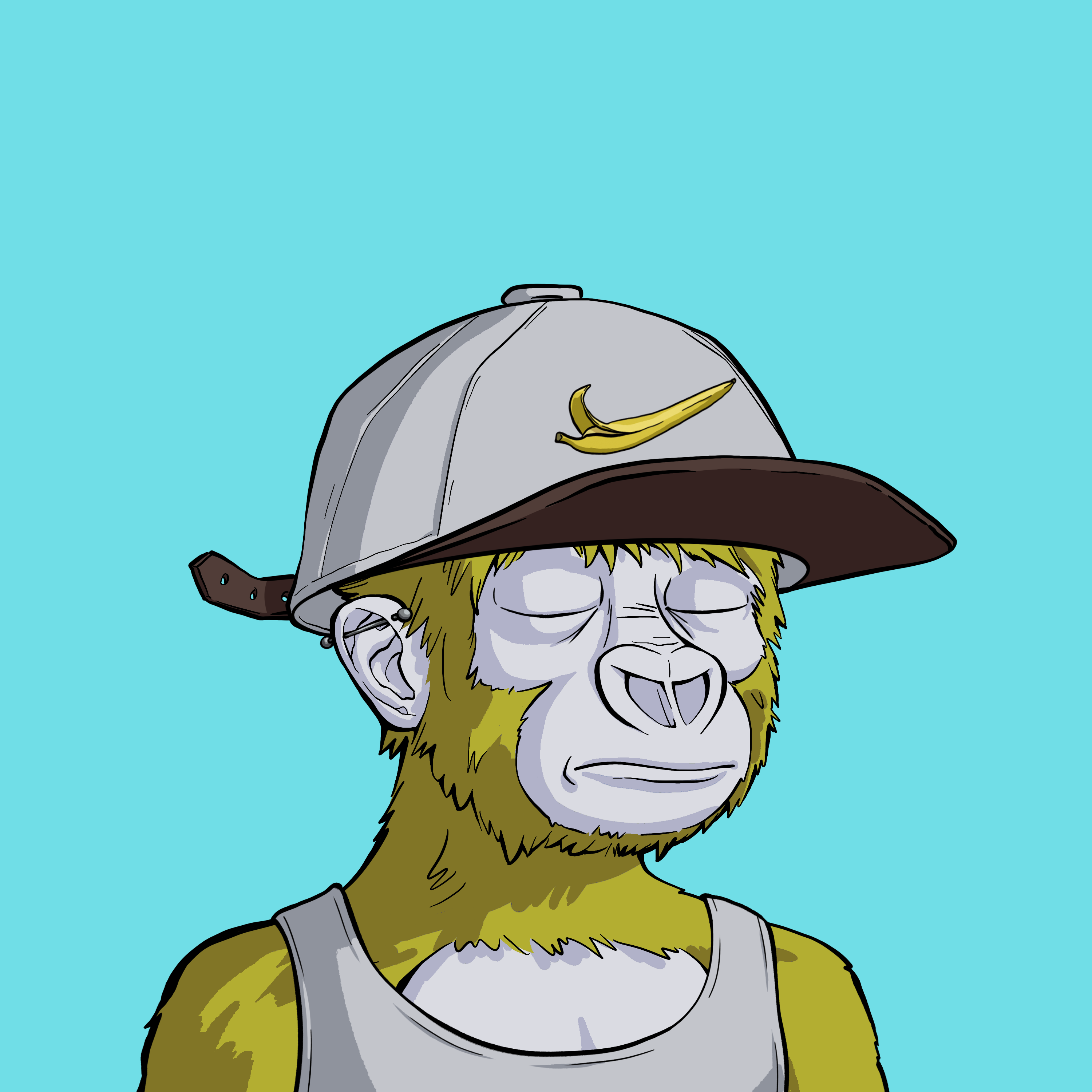 Haramboi #313 NFT on Algorand