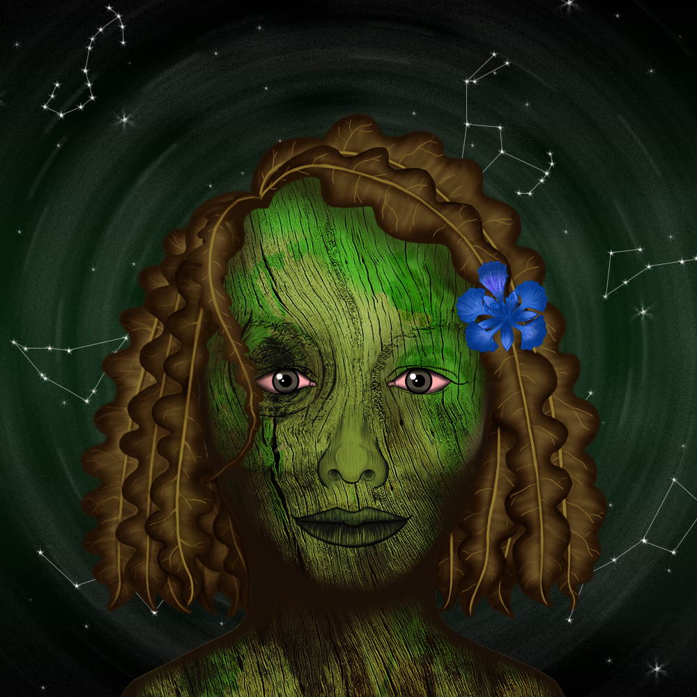 Space Tree #0362 NFT on Algorand