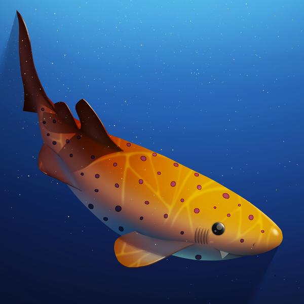 Image of AOShark 032